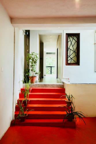 Hostal Maple House