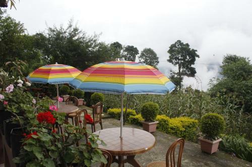 Binayak Homestay