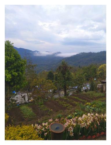 Binayak Homestay