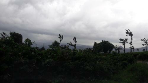 Bed & Breakfast Munnar Farmhouse