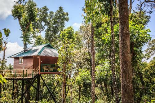 Hotel Kaivalyam Wellness Retreat