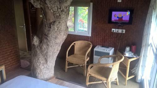 Hotel Kaivalyam Wellness Retreat