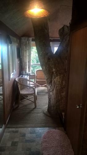 Hotel Kaivalyam Wellness Retreat