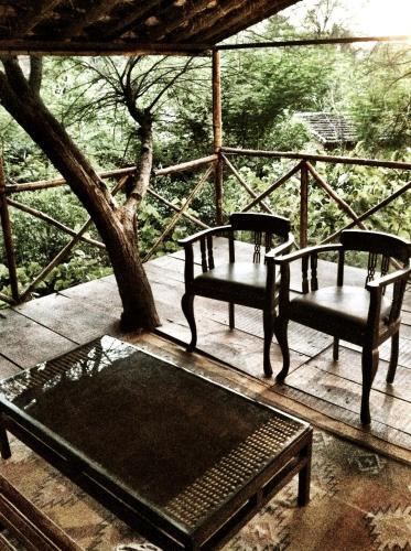 Hotel The Tree House Resort