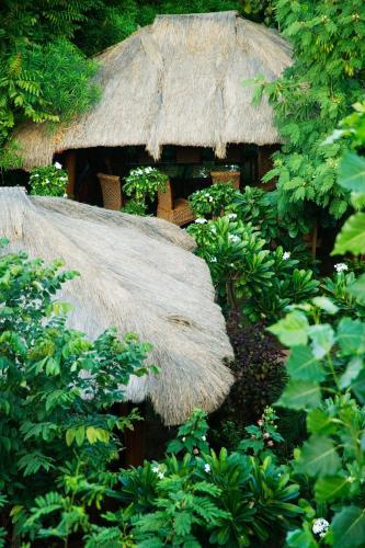 Hotel The Tree House Resort
