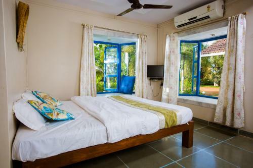 Bed & Breakfast Sidzcottage