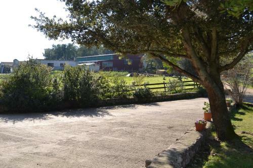 Agroturismo Agriturismo Sa Pigalva