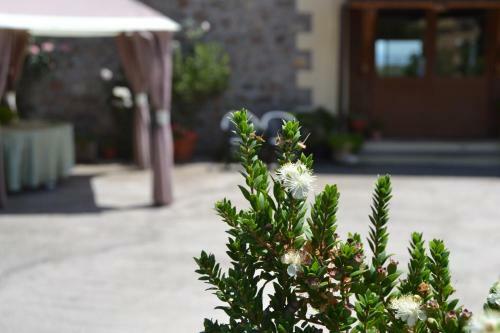 Agroturismo Agriturismo Sa Pigalva