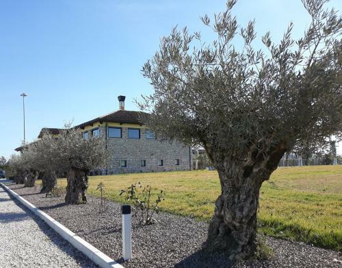 Agroturismo Agriturismo San Gallo