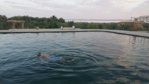 Lodge Talist Siwa