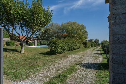 Apartamento Studio In Montefiascone/latium 26486