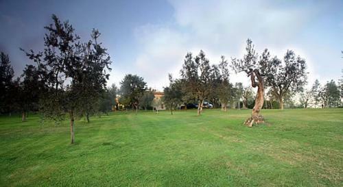 Castra Villa Sleeps 7 Pool Air Con Wifi T762639
