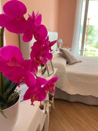 Hostal La Pietra
