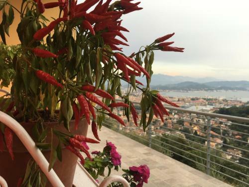 Hostal La Pietra