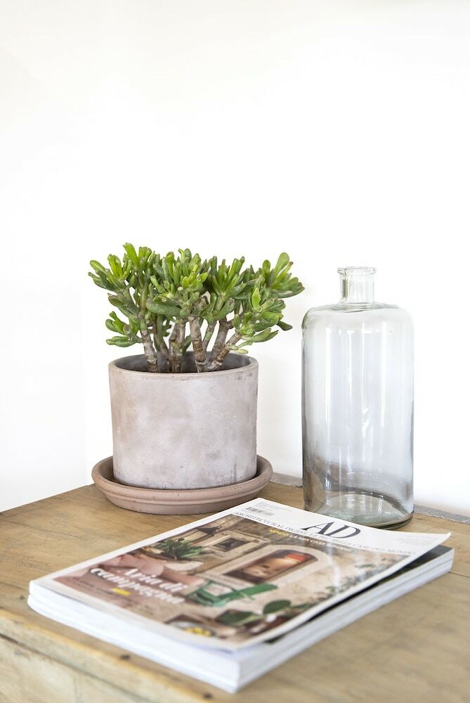 Lodge Iuta Glamping & Farm