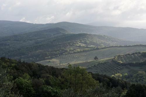 Sequerciani