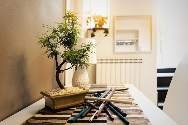 Bed & Breakfast Terra Mia