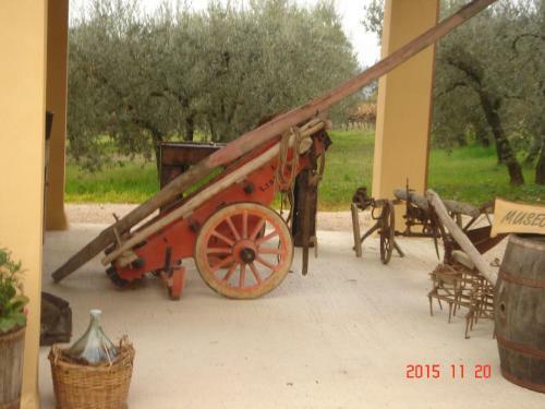 Agroturismo Agriturismo Il Truffarello