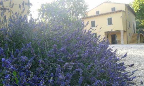Agroturismo Agriturismo Il Truffarello