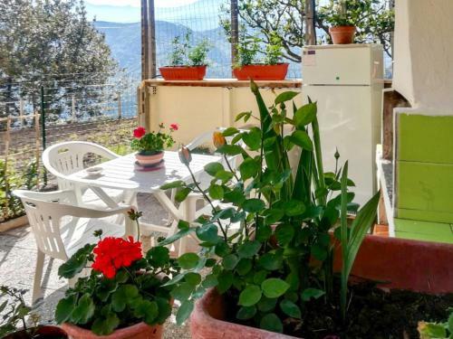 Apartamento Casa Pucci 310s