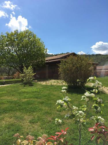 Agroturismo Agriturismo Mulin Di Mezzo
