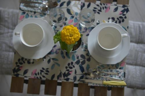 Bed & Breakfast B & B Victoria