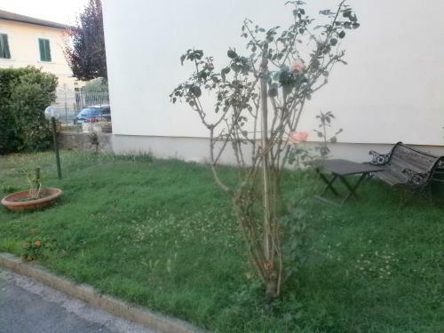 Apartamento La Magnolia