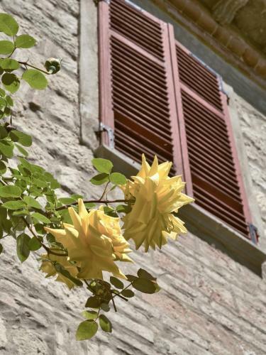 Hotel Cascina Intersenga