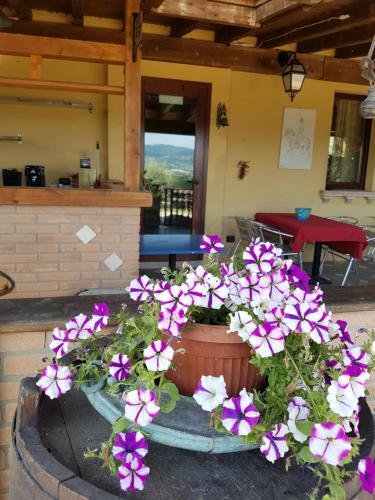 Hostal La Locanda Dei Cavalieri Affittacamere
