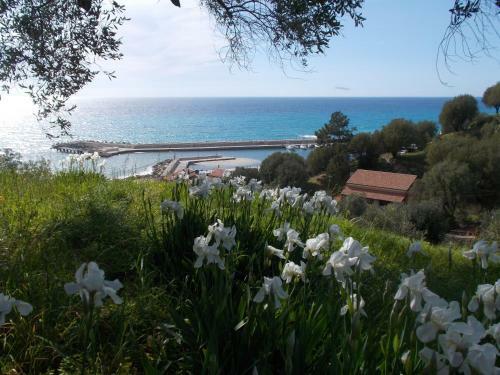 Apartamento Donna Ester - Discover Cilento