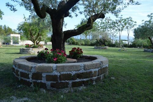 Hotel Tenuta Ferrara