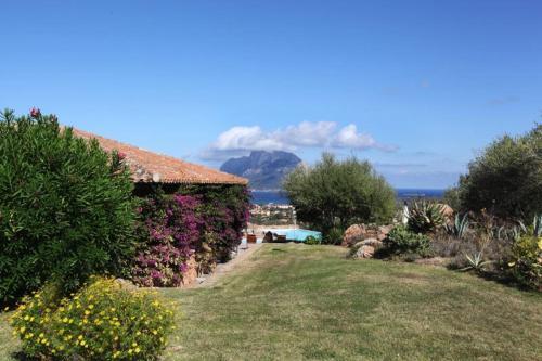 Olbia Villa Sleeps 14 Pool Air Con Wifi