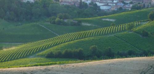 Bed & Breakfast Villa Hortensia Maison D'h�tes