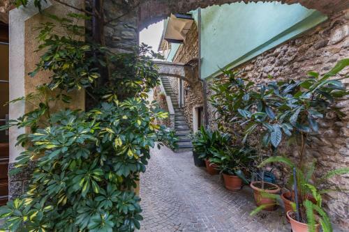 Hostal Camere Barbacana