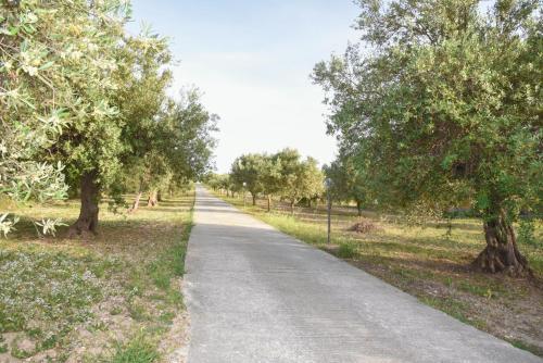 B&B L'uliveto