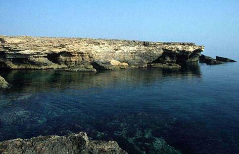 B&B L'uliveto