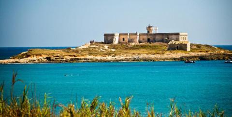 B&B L'uliveto