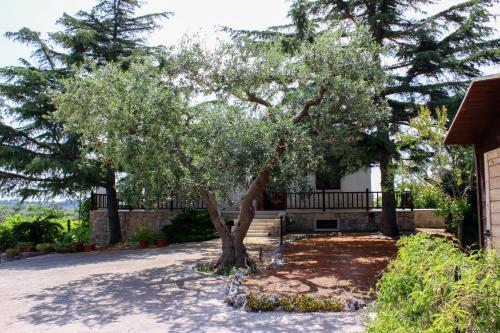 Large Villa With Pool Martina Franca Puglia