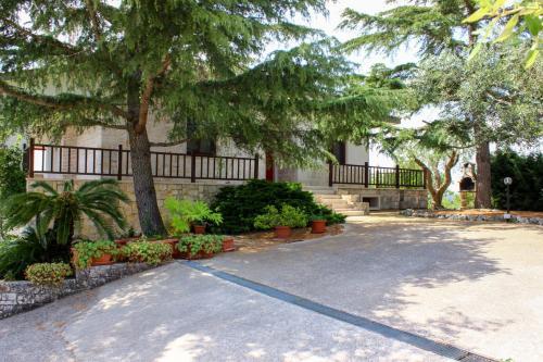 Large Villa With Pool Martina Franca Puglia