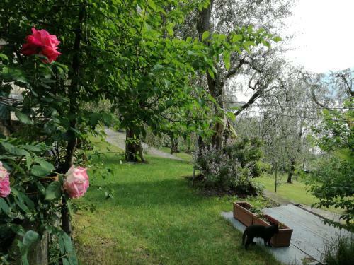 Appartamento Casa Del Sole