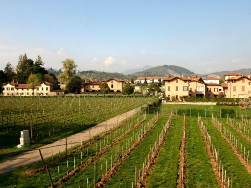 Spacious Villa In Capriolo Near Lake