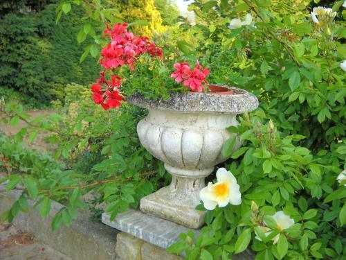 Bed & Breakfast Villa Arabella