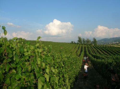 Agroturismo Valli Unite