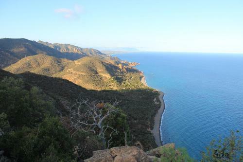 Villaggio Camping Tesonis Beach