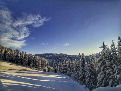 Hotel Oberhauser H�tte Rodenecker - L�sner Alm