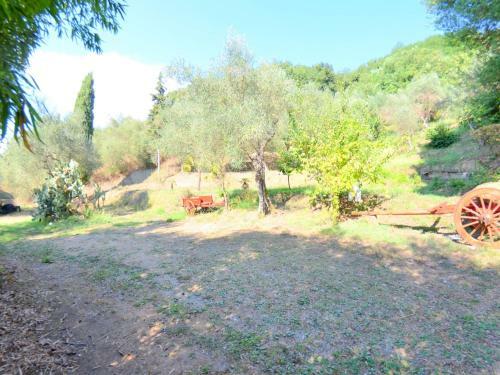 Beautiful Cottage In Massarosa With Lake View