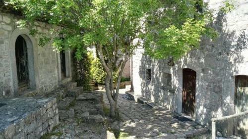 Agroturismo Borgo Cerquelle