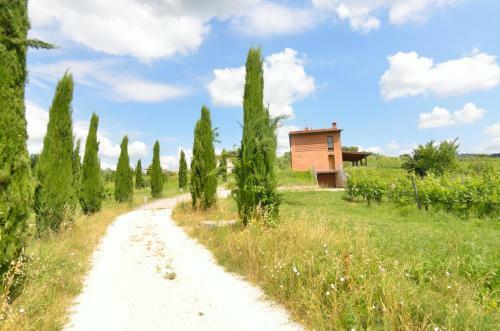 Il Sogno Tra I Vigneti