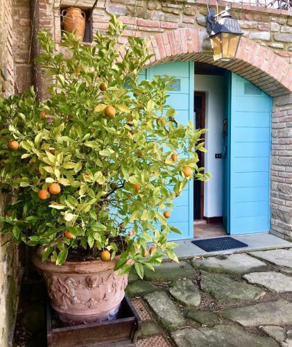 Agroturismo Resort Podere Dell'angiolo