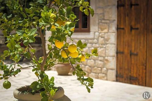 Cammaratini Villa Sleeps 13 Pool Air Con Wifi